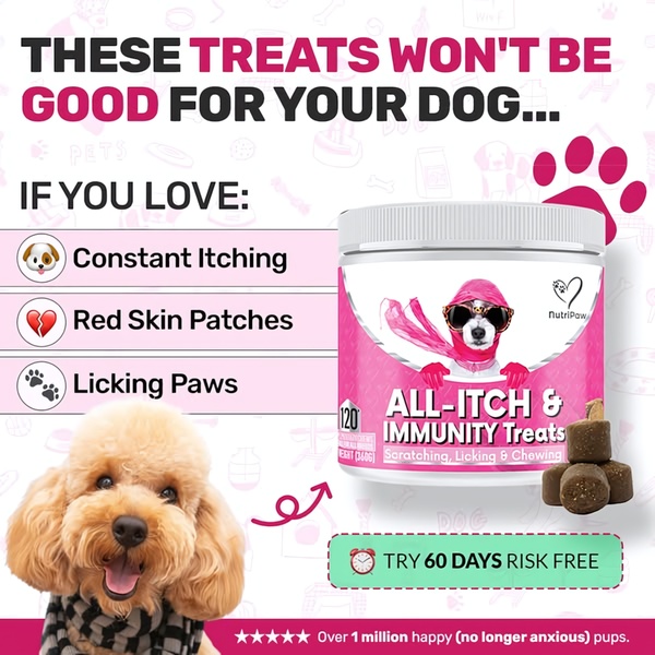 A square ad creative featuring a negative-first hook that lists common pet skin issues, followed by a product solution and a clear risk-free offer.